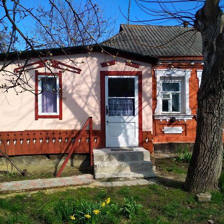 Bohuslav Дівоヴィラ エクステリア 写真