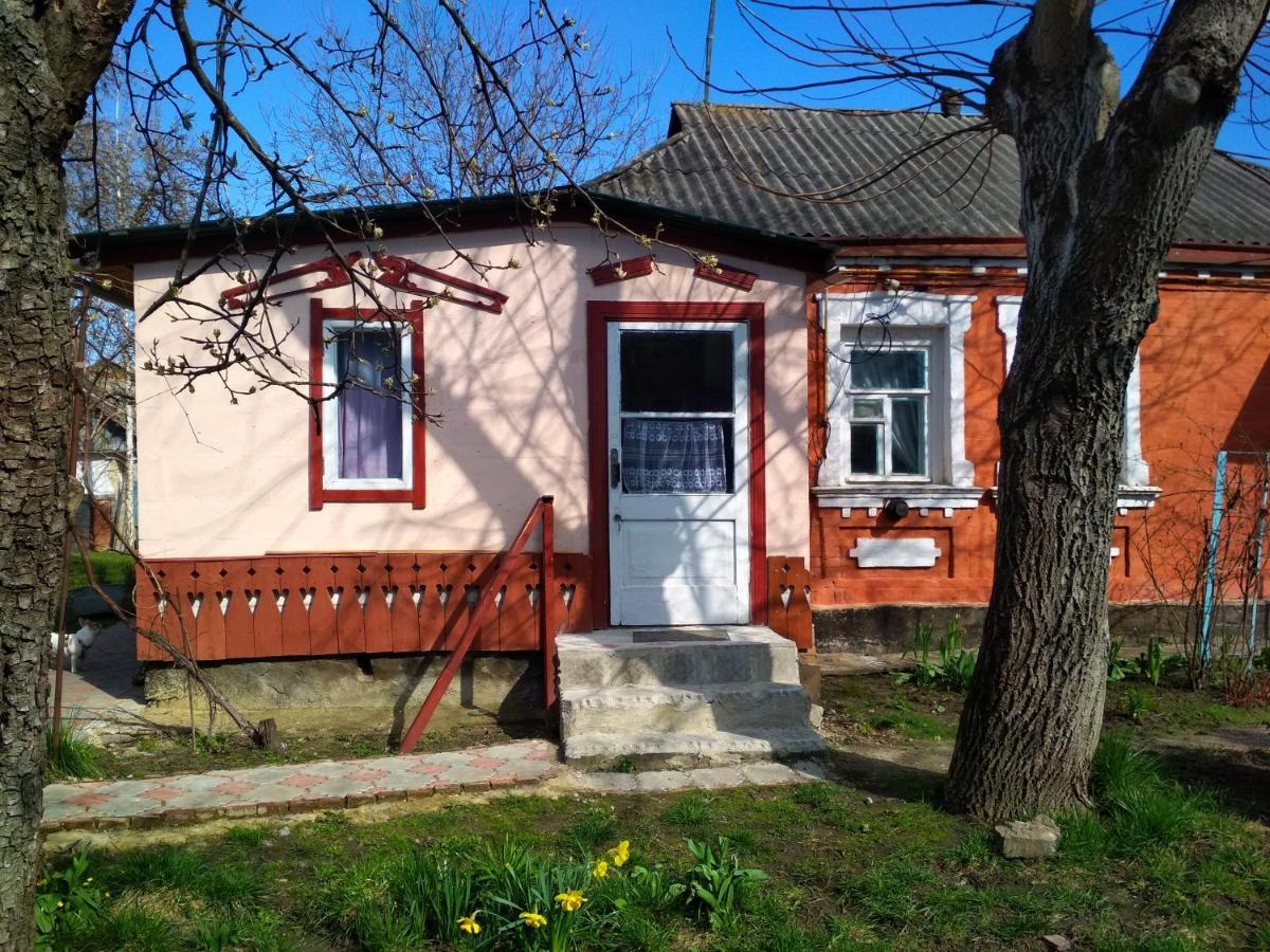 Bohuslav Дівоヴィラ エクステリア 写真