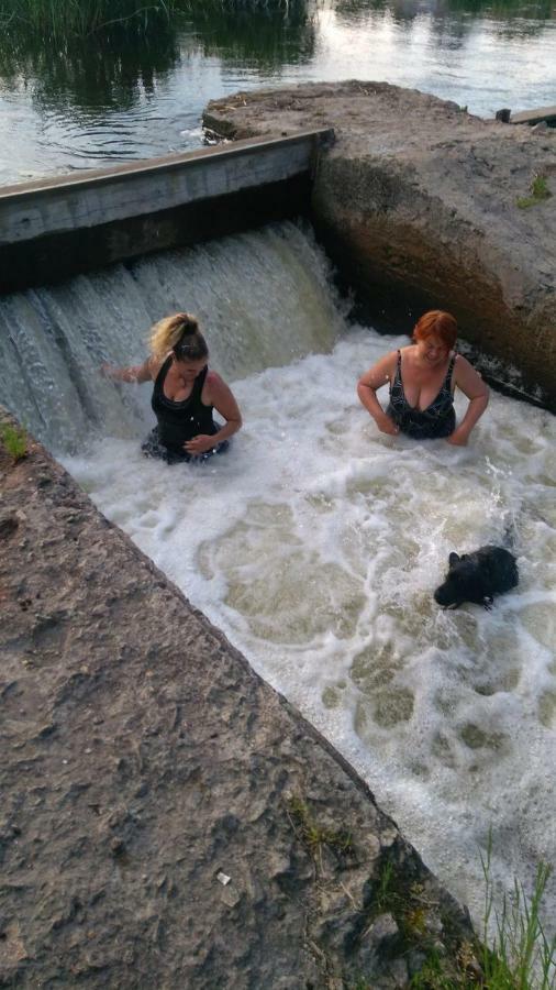 Bohuslav Дівоヴィラ エクステリア 写真